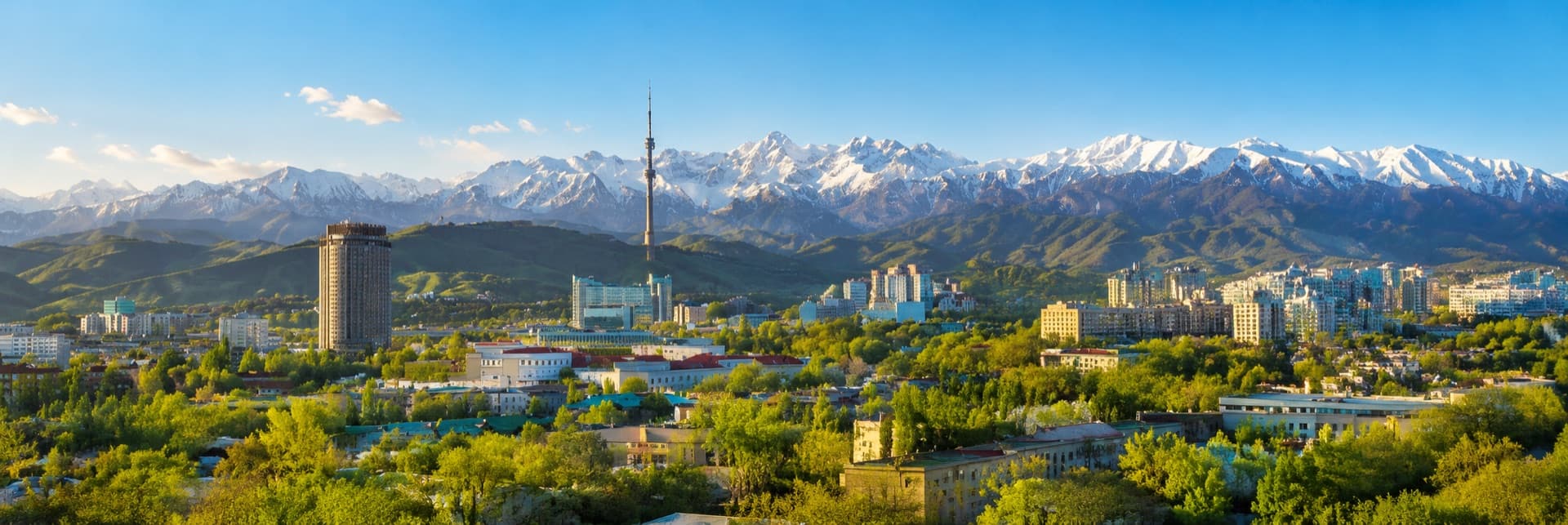 Панорама Алматы — работаем по всему городу